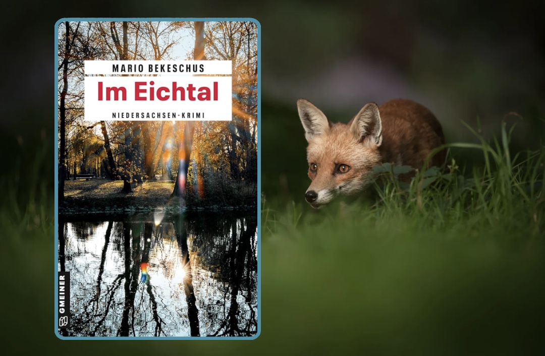 Bildquelle: Autor und Canva